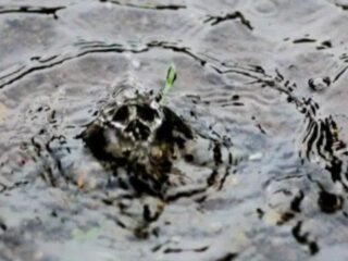 2 Hari Kedepan Lampung Diguyur Hujan, 2 Daerah Siaga dan Waspada Banjir