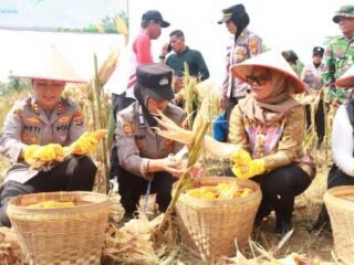 Kapolres Lampung Timur Hadiri Panen Raya Kuartal III 2025, Dukung Swasembada Pangan Nasional