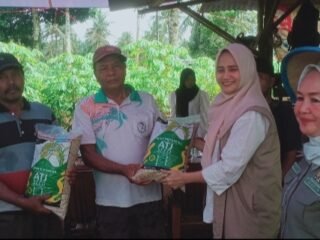 Petani Kecamatan Bandar Sribawono Dapat Bantuan Benih Padi Inpari 32 Dari Anggota DPR RI Dwita Ria