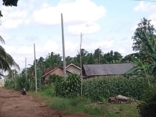 Hutan Lindung Register 38 Gunung Balak Mulai Ada Pemasangan Instalasi PLN