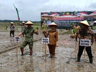 Tanam Padi di Lampung Timur, Pangdam Kristomeri Sianturi Dorong Swasembada Pangan