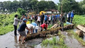 Gotong Royong Forkopimda Lampung Timur. 