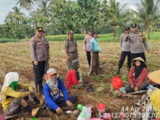 Kapolsek Bandar Sribawono Laksanakan Sosialisasi Galakkan Kebun Ketahanan Pangan diDesa Bandar Agung