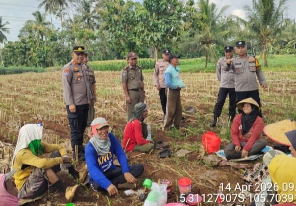Kapolsek Bandar Sribawono Laksanakan Sosialisasi Galakkan Kebun Ketahanan Pangan diDesa Bandar Agung