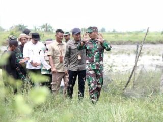 Lampung Timur Menuju Lumbung Pangan Nasional