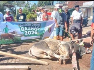 Rayakan Idul Adha, BAZNAS Gelar Kurban Bersama di Rumah Aspirasi Gerindra Lampung Timur