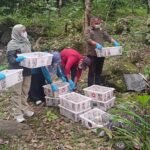 BKSDA Bengkulu Gagalkan Penyelundupan 620 Ekor Burung Liar