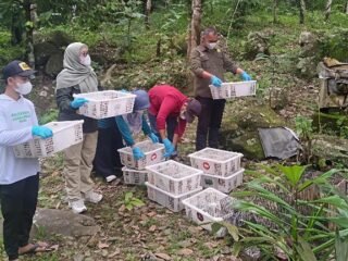 BKSDA Bengkulu Gagalkan Penyelundupan 620 Ekor Burung Liar