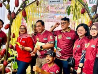 Dari Biji ke Cokelat, Lampung Timur Target Jadi Rumah Kakao Nasional