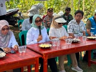 Bupati Lamtim Tinjau Listrik Masuk Sawah, Siapkan Subsidi KWH Petani